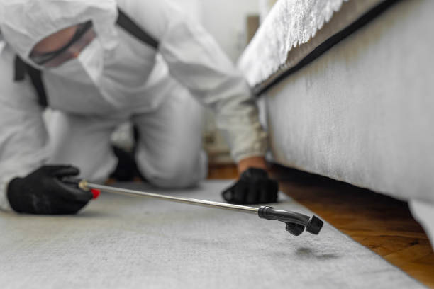 Professional Bed Bug Control technician working in Bassett, VA